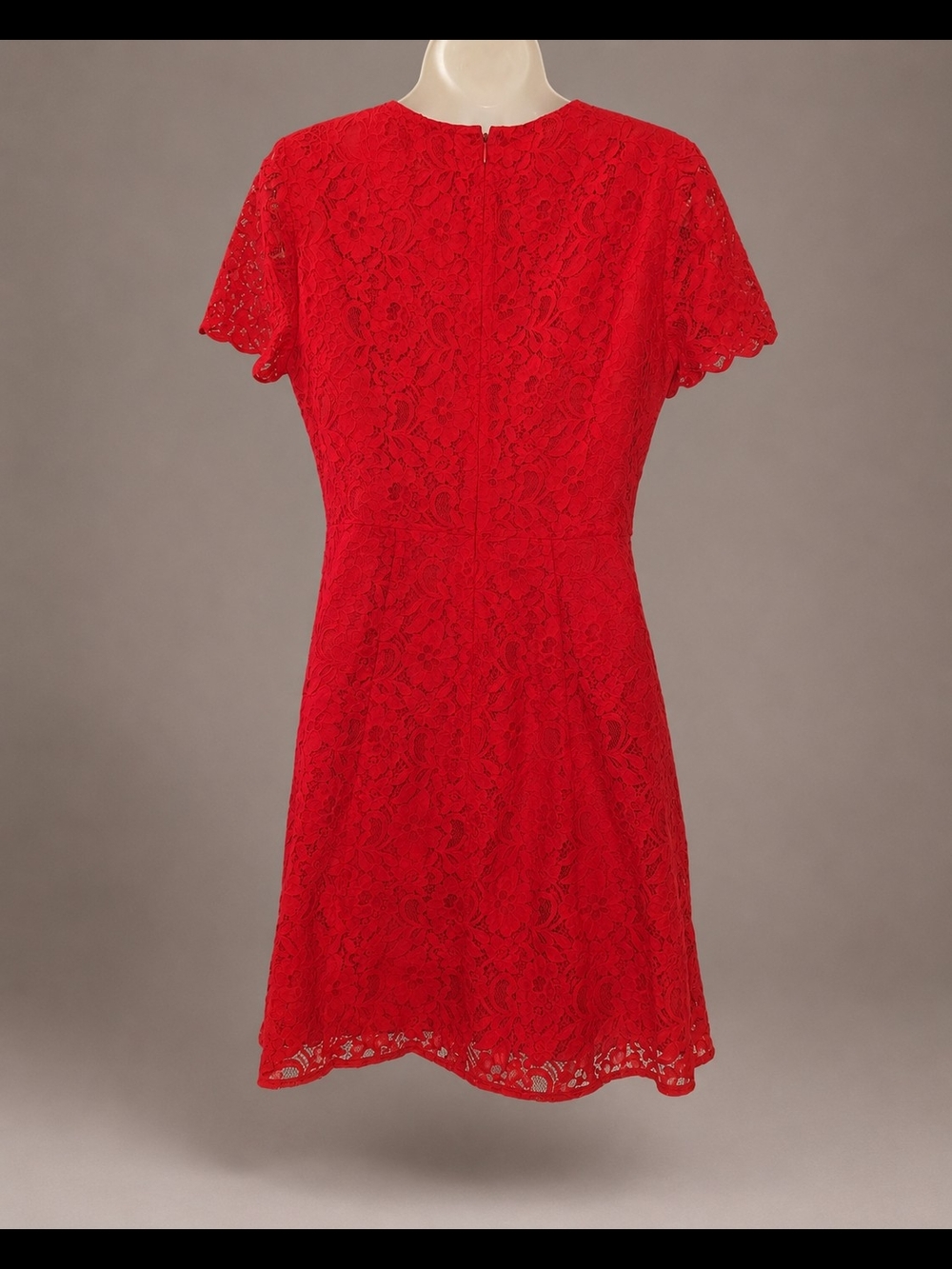 J. Crew Womens Red Lace Short Sleeve Fit-and-Flare Formal Mini Dress Size 6 - Picture 7 of 9
